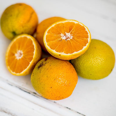 Local Oranges (juicing) - 3kg