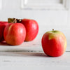 Local Pink Lady Apples from Hillside Harvest at Your Food Collective