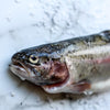 Local Whole Fresh Trout from Arc-en-ciel Trout Farm at Your Food Collective