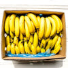Local Bulk local bananas at Your Food Collective