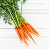 Local Dutch Carrots at YOur Food Collective