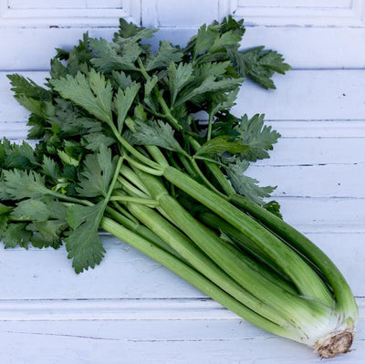 Local Celery from Producer Sciberra's Fresh at Your Food Collective