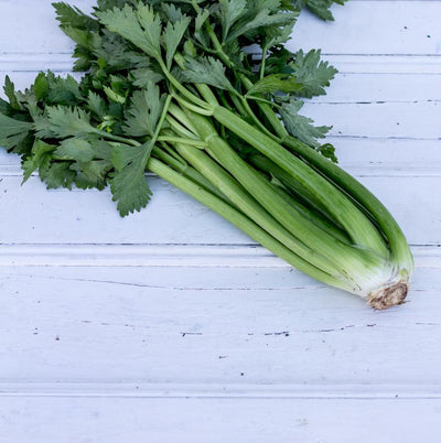 Local Celery From Producer Sciberra's Fresh at Your Food Collective