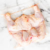 Local Butterfly chicken from Hunter Natural at Your Food Collective