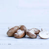 Local Shiitake Mushrooms from local producer Nabia at Your Food Collective