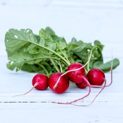 Local Radish from Fiatarone Farms at Your Food Collective