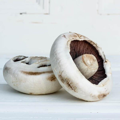 Local Field Mushrooms from White Prince Mushrooms at Your Food Collective