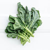 Local Gai Lan From Producer Summit at Your Food Collective