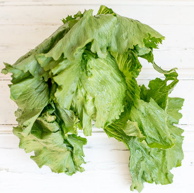 Local Iceburg Lettuce at Your Food Collective