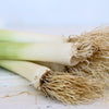 Local Leeks from Chetcuti Produce at Your Food Collective