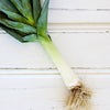 Local Leeks from Chetcuti Produce at Your Food Collective