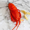 Local Eastern Rock Lobster - 800g