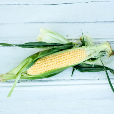 Local corn from local producer Sciberras Fresh at your food collective