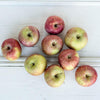 Local Fuji Apples from Hillside Harvest at your Food Collective