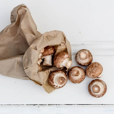 Local Mushrooms from Producer at Your Food Collective