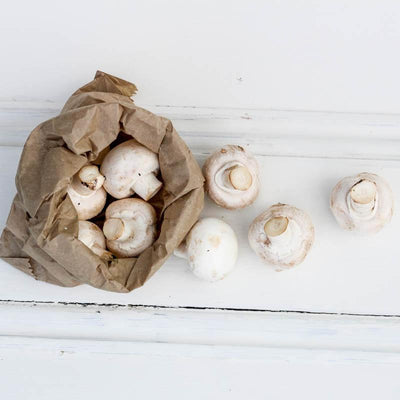 Local Mushrooms from Producer at Your Food Collective