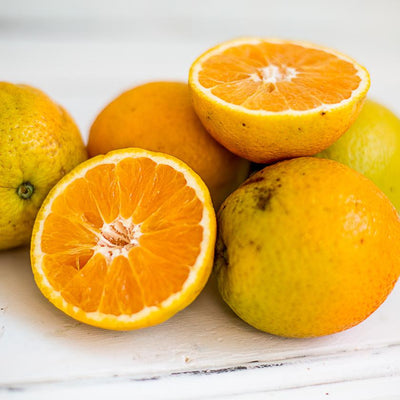 Local oranges From local producer mumble peg at Your Food Collective