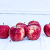 Local Red Delicious Apples from Hillside Harvest at Your Food Collective