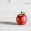 Local Red Delicious Apples from Hillside Harvest at Your Food Collective