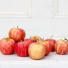 Local Royal Gala Apples from Hillside Harvest at Your Food Collective
