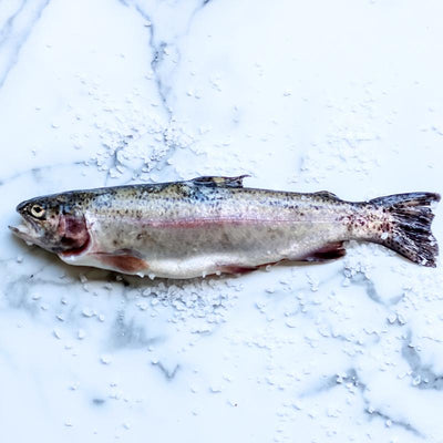 Local Whole Fresh Trout from Arc-en-ciel Trout Farm at Your Food Collective