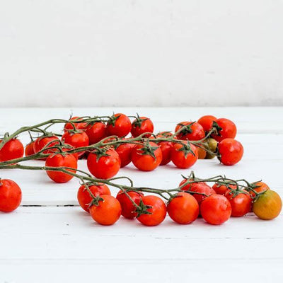 Local Truss Tomatoes at Your Food Collective