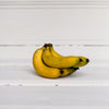 Local Cavendish Bananas from Ocean View Produce at Your Food Collective